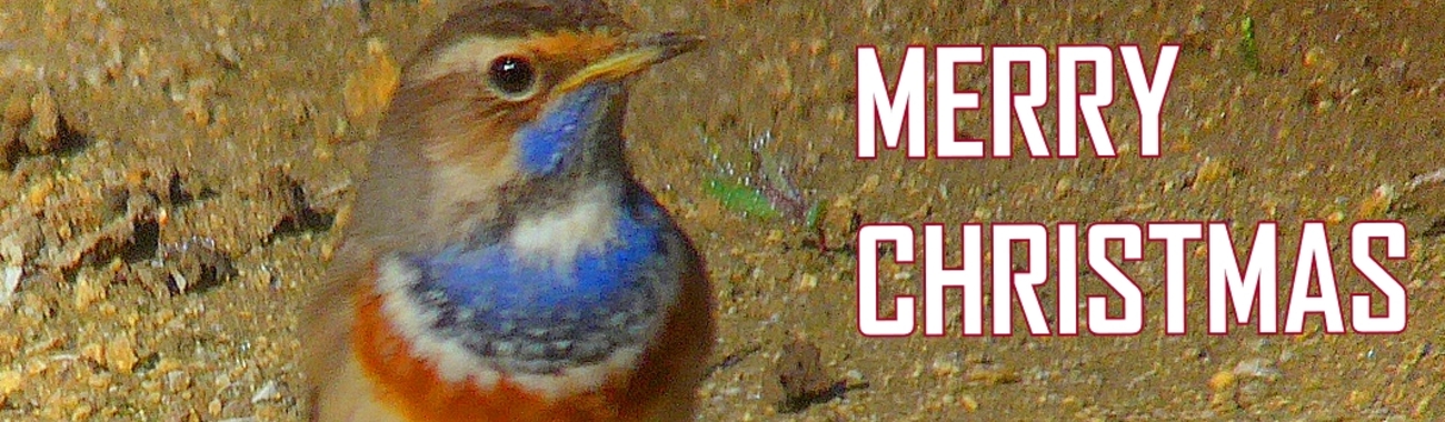 A christmas banner.full