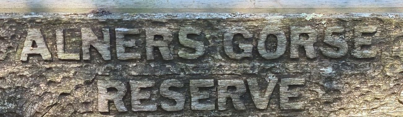 A banner.full