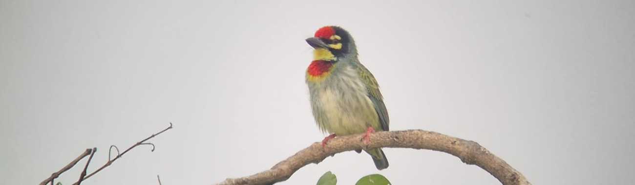 Whatsapp image 2026 02 08 at 14.54.12.full